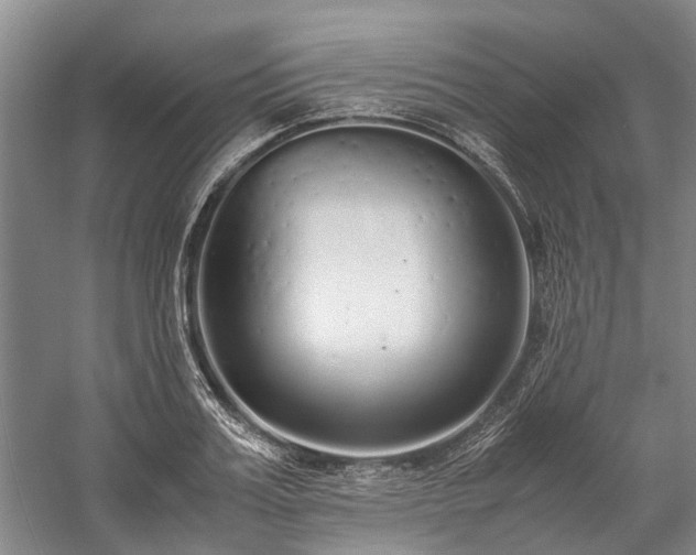 X0000060260987200510281201