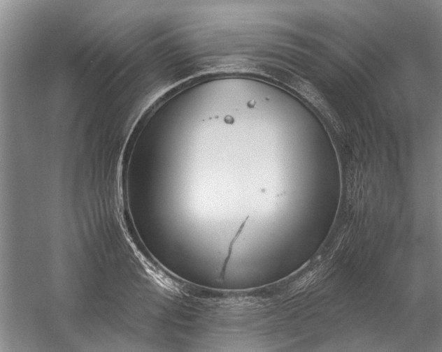 X0000060260988200510281201