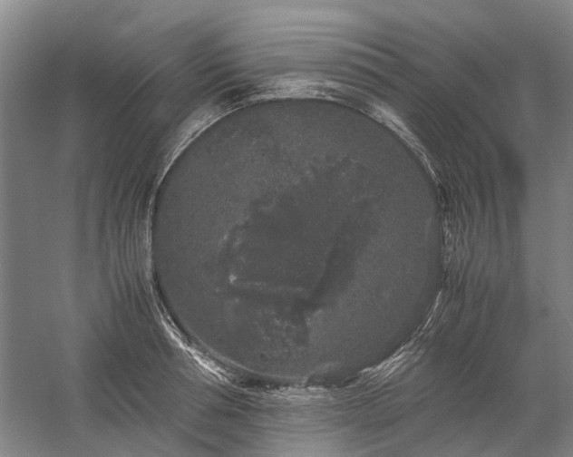 X0000060260994200510281201