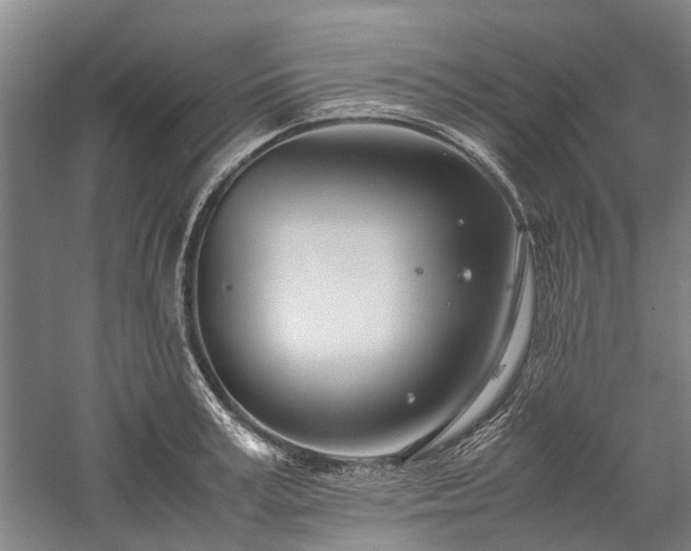 X0000060260995200510281201