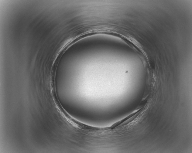 X0000060260997200510281201