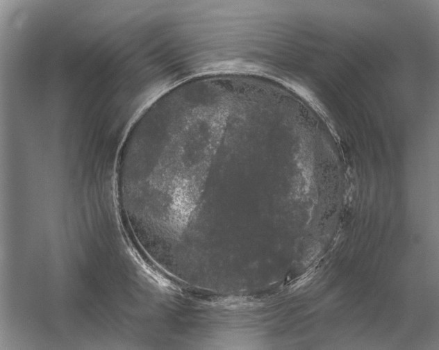 X0000060260998200510281201