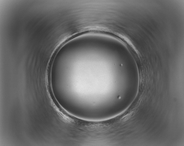 X0000060260999200510281201