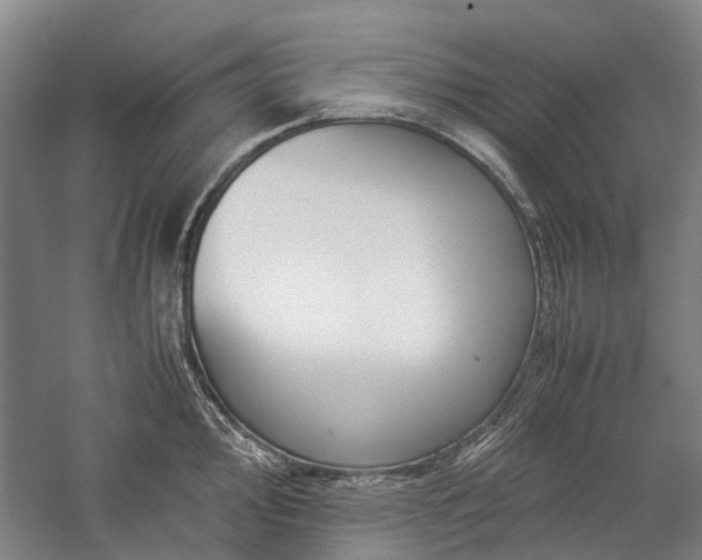 X0000060261000200510281201