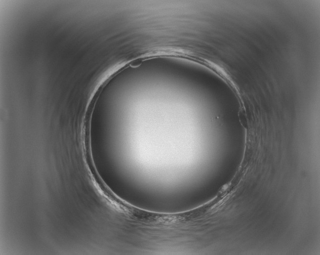 X0000060261003200510281200