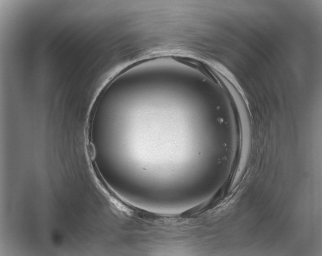 X0000060261005200510281200