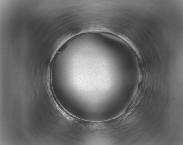 X0000060261006200510281200