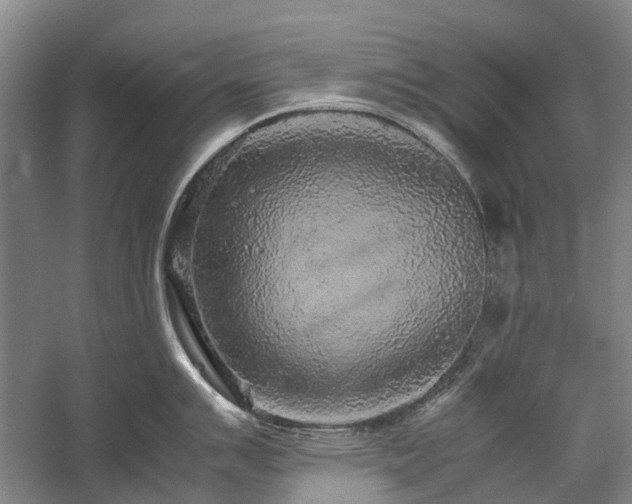 X0000060261007200510281200