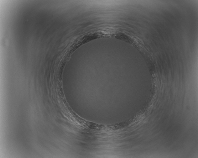 X0000060261009200510281200