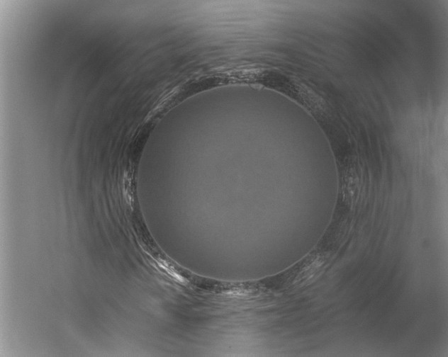 X0000060261010200510281200