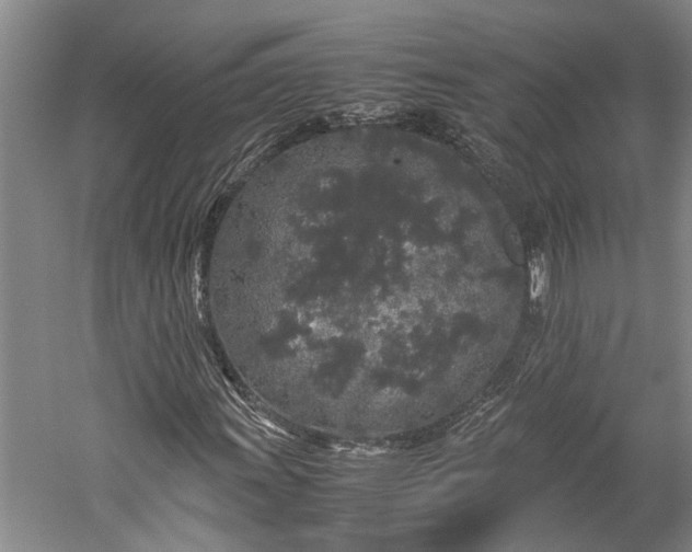 X0000060261011200510281200