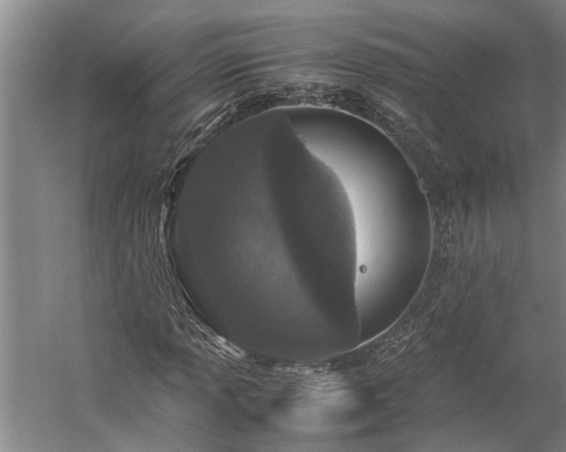 X0000060261013200510281200