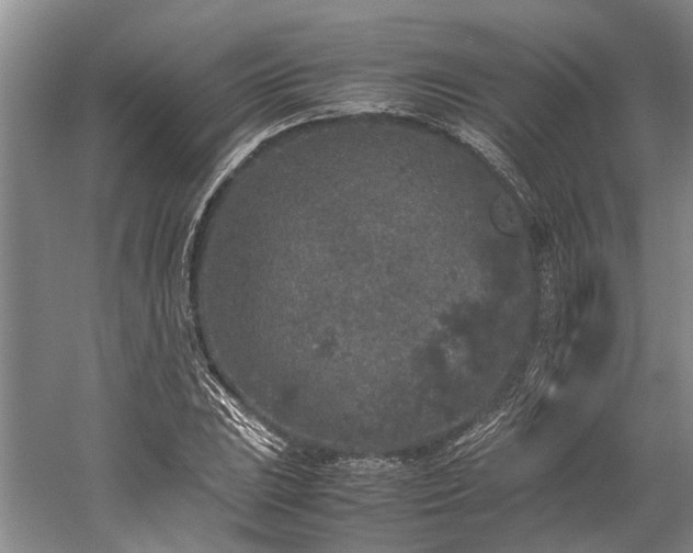 X0000060261023200510281200