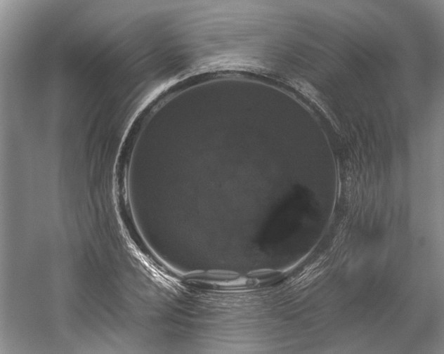 X0000060261024200510281200