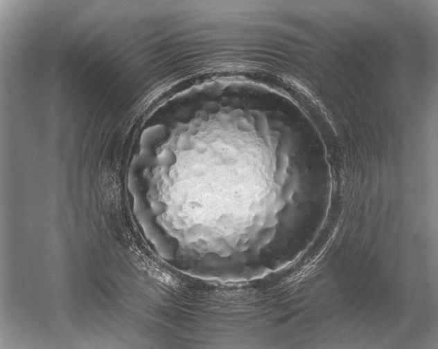 X0000060261025200510281200