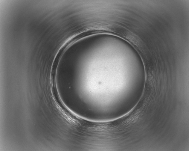 X0000060261028200510281200