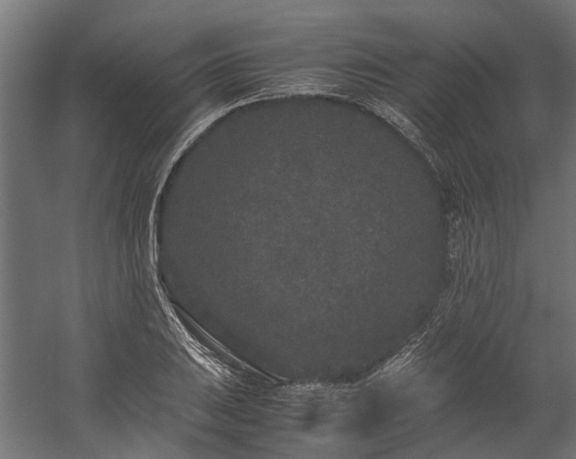 X0000060261031200510281200