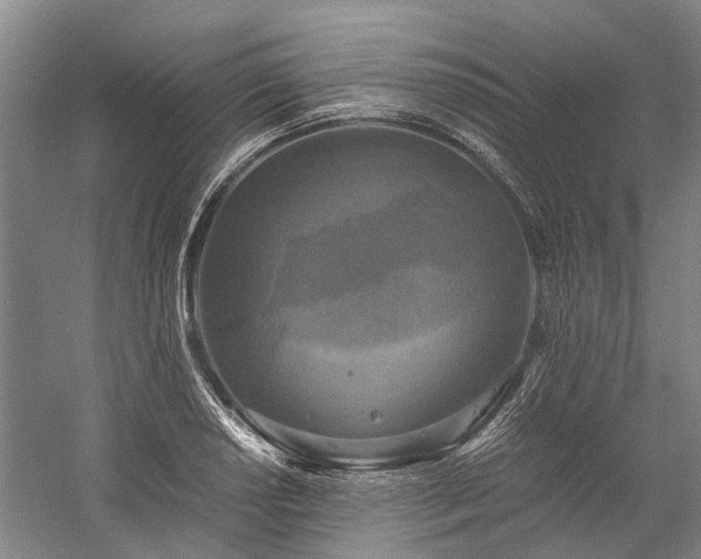 X0000060261034200510281200