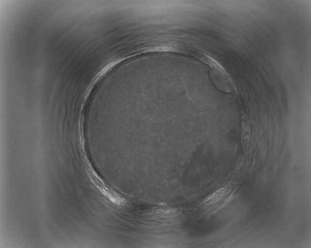 X0000060261035200510281200