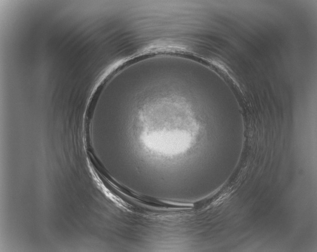 X0000060261038200510281200