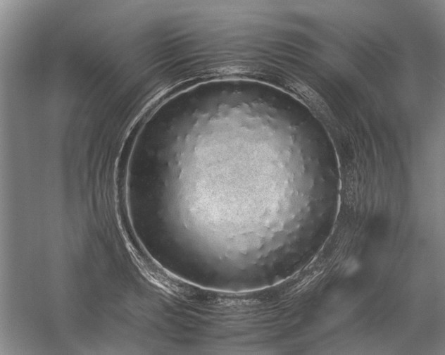 X0000060261039200510281200