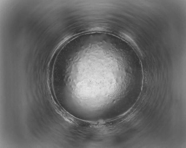 X0000060261043200510281200