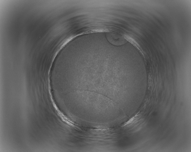 X0000060261047200510281200