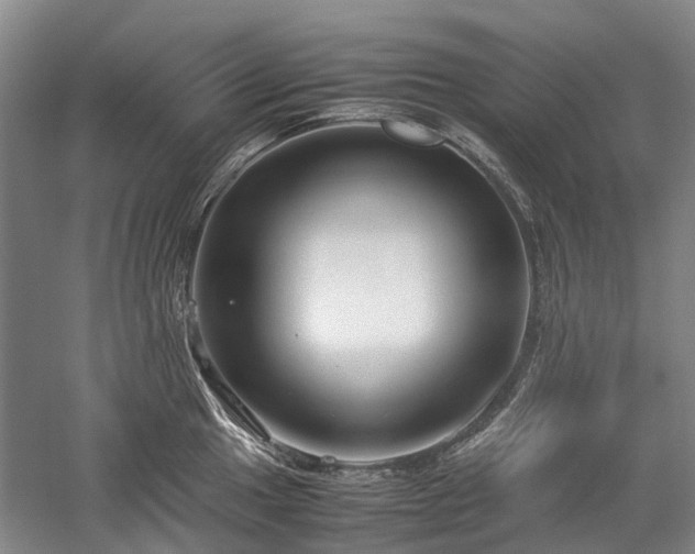 X0000060261049200510281200