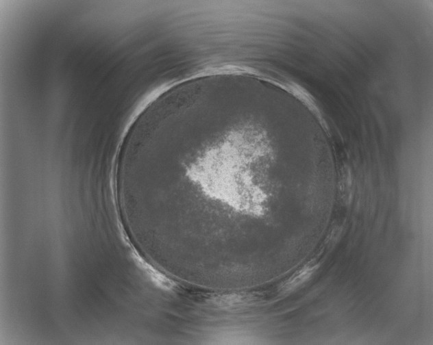 X0000060261054200510281200