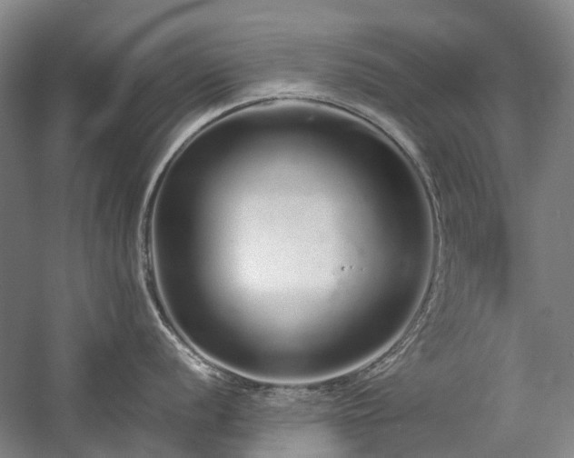 X0000060261056200510281200