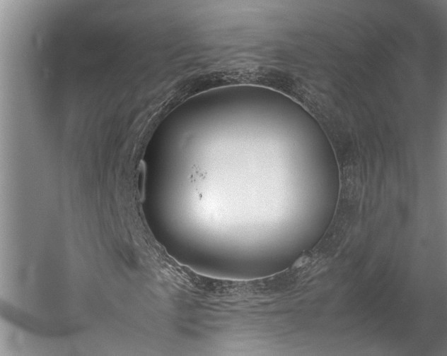 X0000060261057200510281200