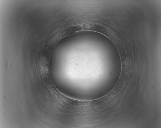 X0000060261058200510281200