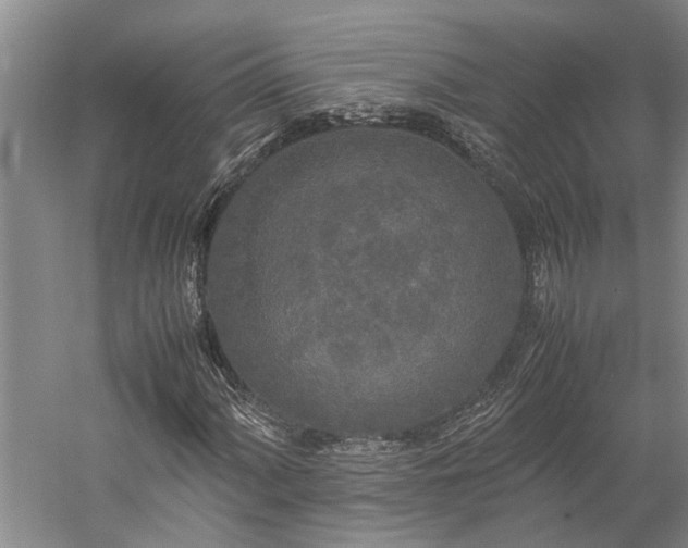 X0000060261060200510281159