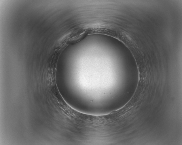 X0000060261062200510281159