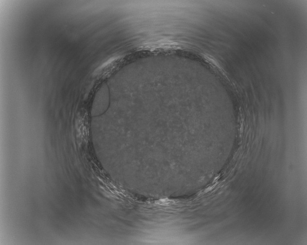 X0000060261063200510281159