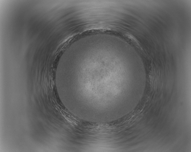 X0000060261064200510281159