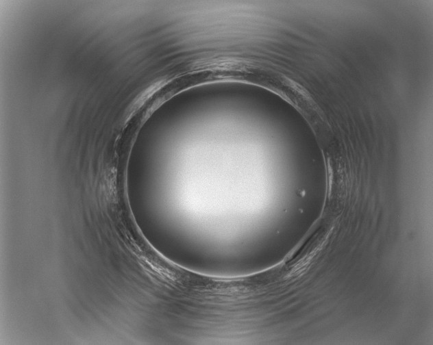 X0000060261066200510281159