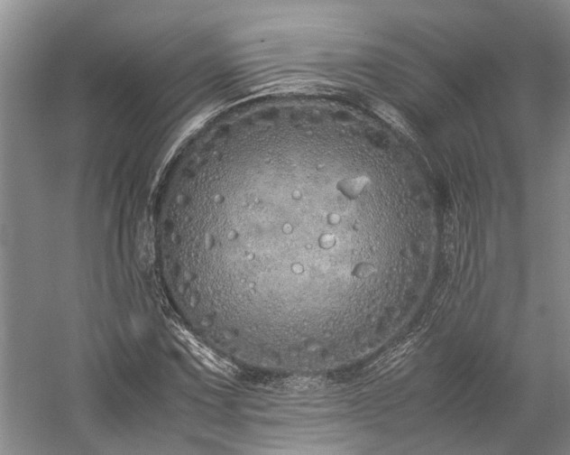 X0000060261067200510281159