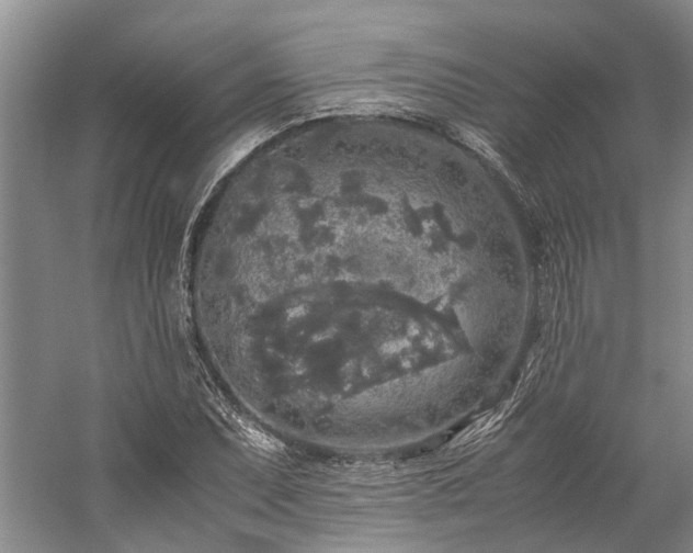 X0000060261071200510281159