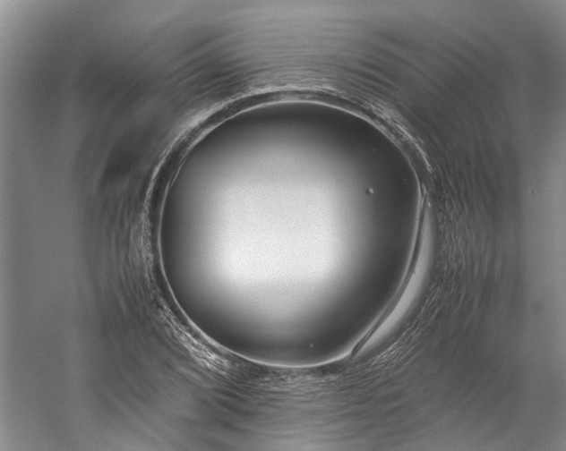 X0000060261072200510281159