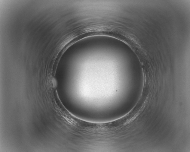 X0000060261073200510281159