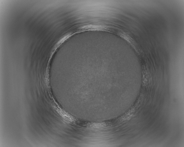 X0000060261074200510281159