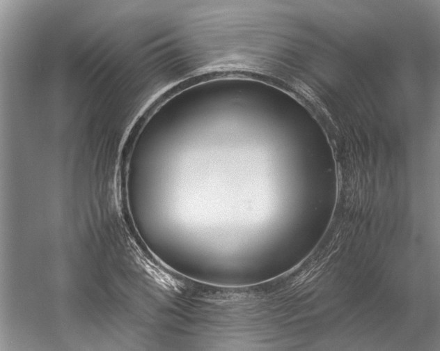 X0000060261076200510281159