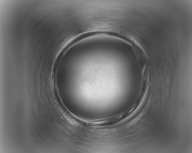 X0000060261077200510281159