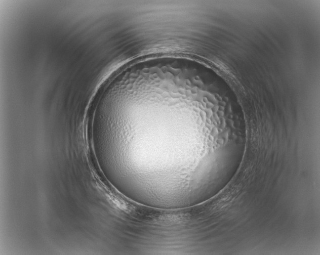 X0000060261078200510281159