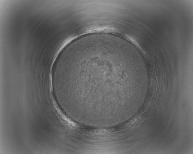 X0000060261079200510281159