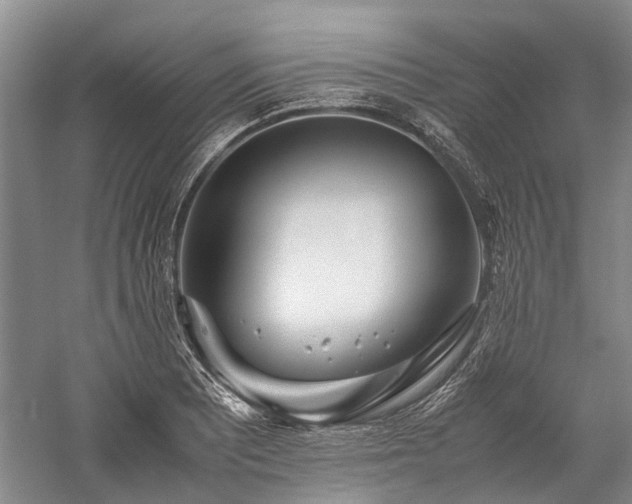 X0000060261081200510281159