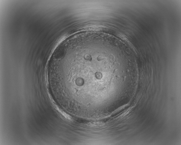 X0000060261083200510281159