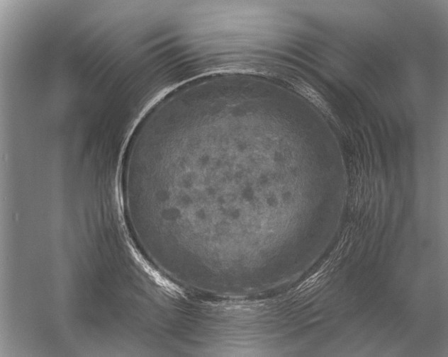 X0000060261084200510281159