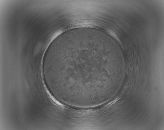 X0000060261087200510281159